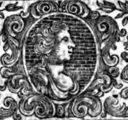 Retrato de Bernard Mandeville