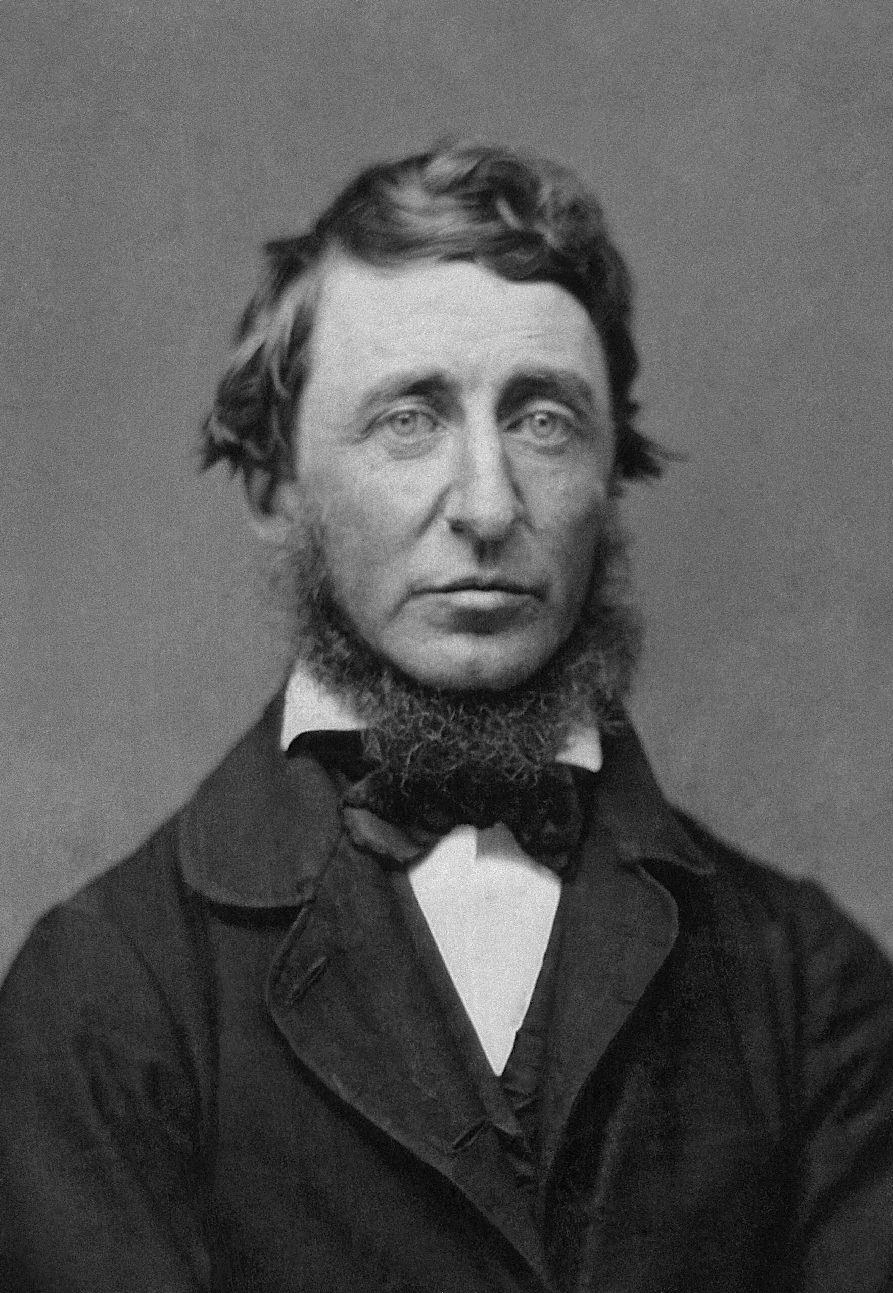Retrato de Henry David Thoreau