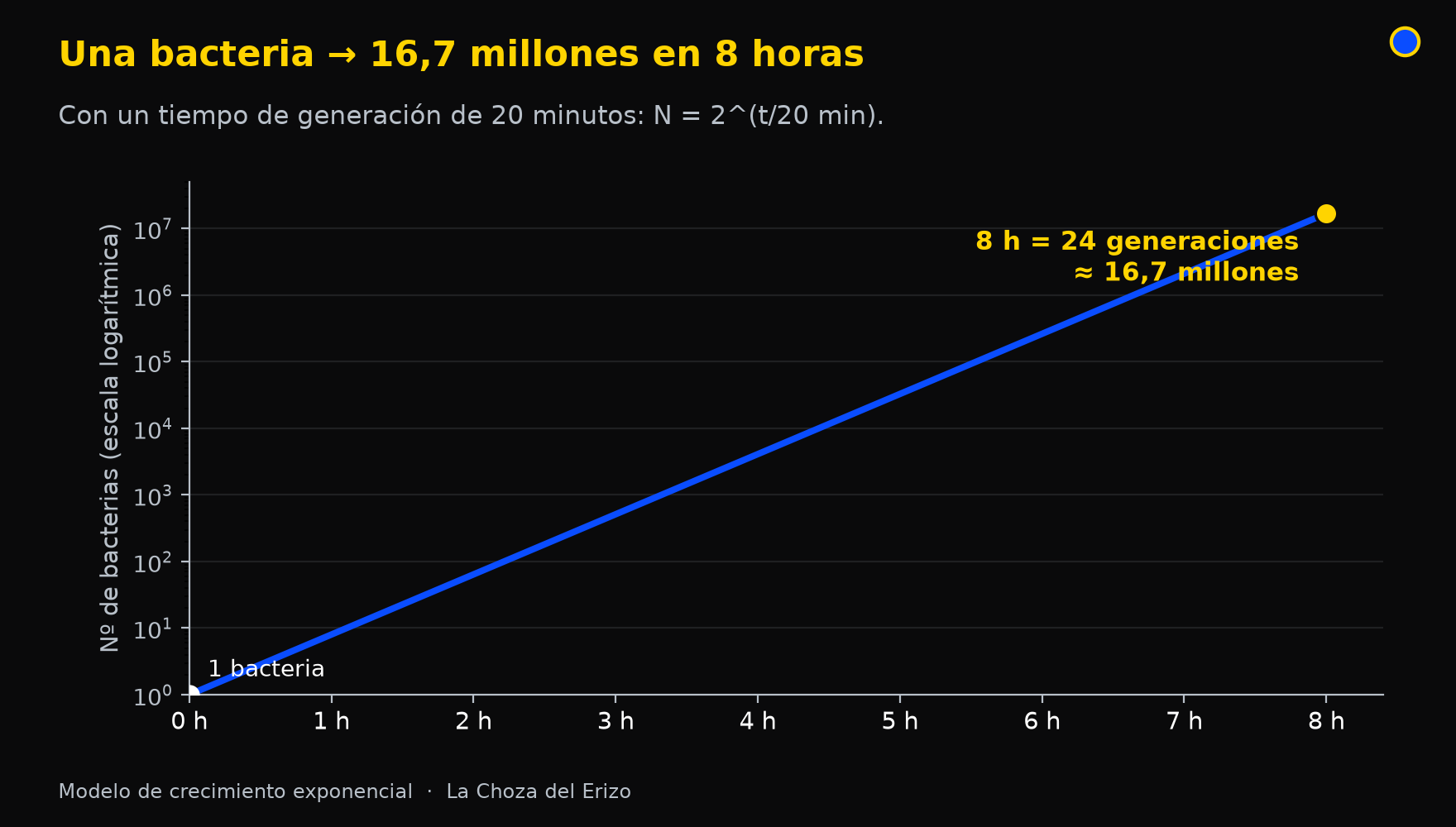 Crecimiento bacteriano exponencial